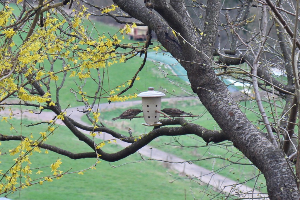Vogelfutterhäuschen Keramik