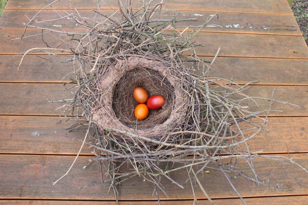 Elsternnest