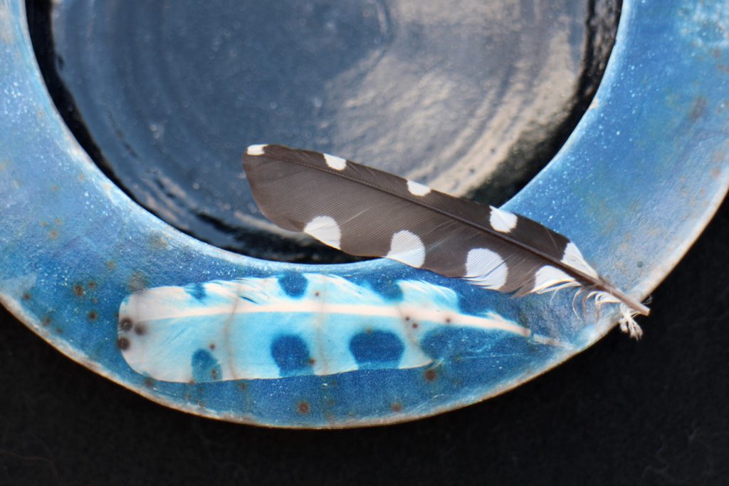 Cyanotypie mit Federn auf Keramik