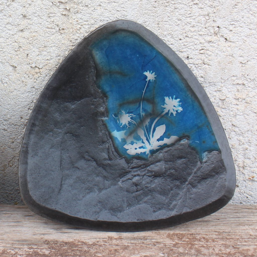 Löwenzahn, Cyanotypie auf Keramik